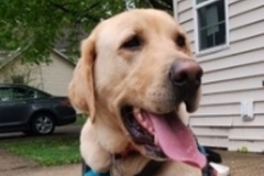  : Lenny