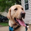   : Lenny