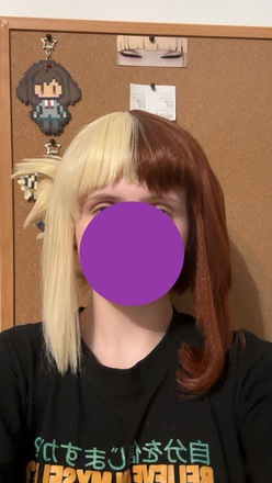 COSPLAY WIG COMMISSIONS