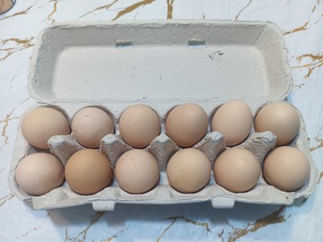Selling with In-person Payment: Large Brown Eggs by the Dozen