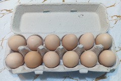 Selling with In-person Payment: Large Brown Eggs by the Dozen