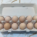 Selling with In-person Payment: Large Brown Eggs by the Dozen