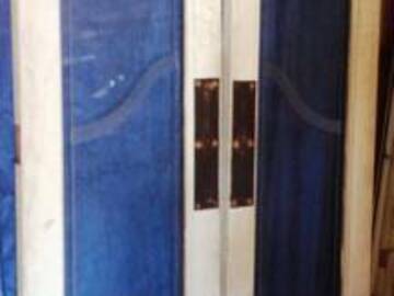Selling: Vintage Etched Glass Door Set
