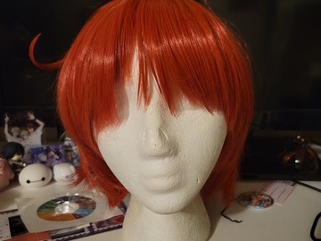 Selling with online payment: Red Wig / Red Blood Cell