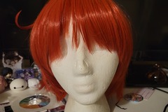 Selling with online payment: Red Wig / Red Blood Cell