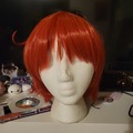 Selling with online payment: Red Wig / Red Blood Cell