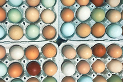 Selling with online payment: Farm fresh eggs