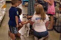 Looking for volunteers: Animal Rescue Social Media Postings