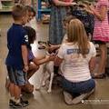 Looking for volunteers: Animal Rescue Social Media Postings