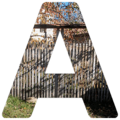 Looking for volunteers: WIKIPEDIA PAGE CREATOR
