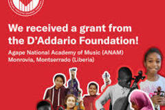 Looking for volunteers: Volunteer Manager of Grants (Unpaid Position)