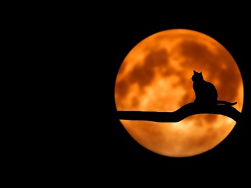 Selling: New Moon Spell