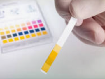 Wellness Session Single: 4 steps to pH balance the body and improve bone health