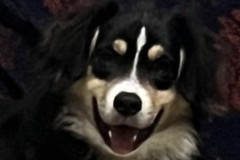   : Baz