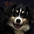   : Baz