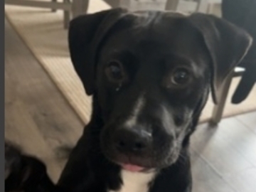   : Winnie