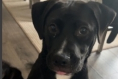   : Winnie