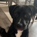   : Winnie