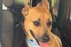   : Benji