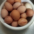 Selling with In-person Payment: Fresh Chicken Eggs 