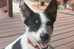   : Bonnie