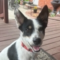   : Bonnie