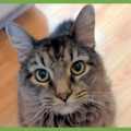  : Jax