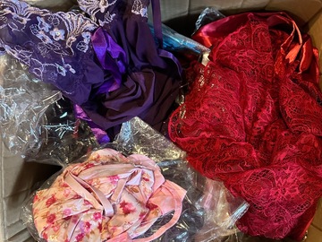 Bulk Lots: Wholesale Box of Brand New Women’s Lingerie – Assorted Styles & C