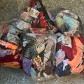 Bulk Lots: Bulk Lot of 264 Women's Thongs – Assorted Styles & Colors – Brand