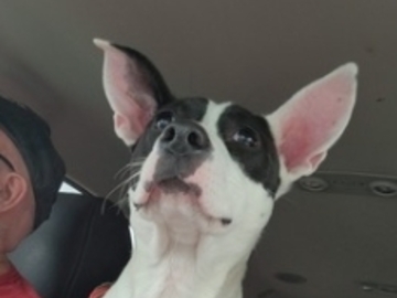   : Phoebe 
