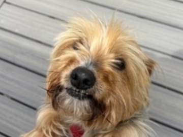   : Frankie