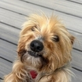  : Frankie