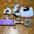 Selling with online payment: Herribel Costume from Bleach with handmade ‘Bone’ Top