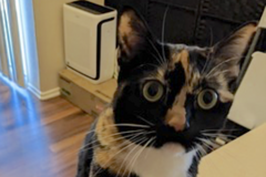   : Sally