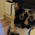   : Sally