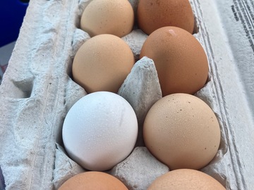 Selling with In-person Payment: Selling Farm Fresh Eggs OKC 