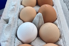 Selling with In-person Payment: Selling Farm Fresh Eggs OKC 