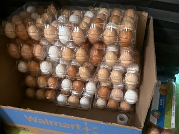 Selling with In-person Payment: Fresh Farm Eggs (UnWash)