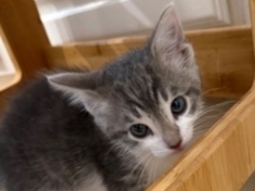   : Pete