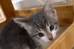   : Pete