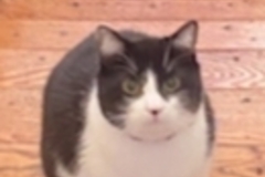   : Luna