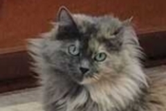   : Misha