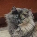   : Misha