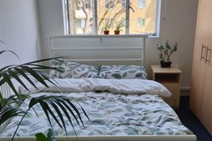 Room Available: Global Guardian Room - Female - South London 