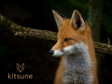 Venta: KITSUNE GLASS