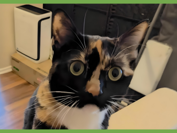  : Sally