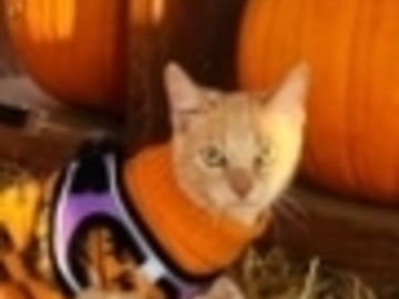   : Jane