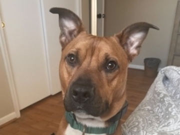   : Milo