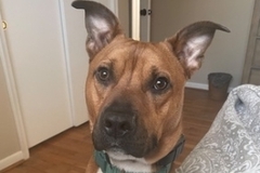   : Milo