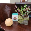 Bulk Lots: Essential Oil Diffusers